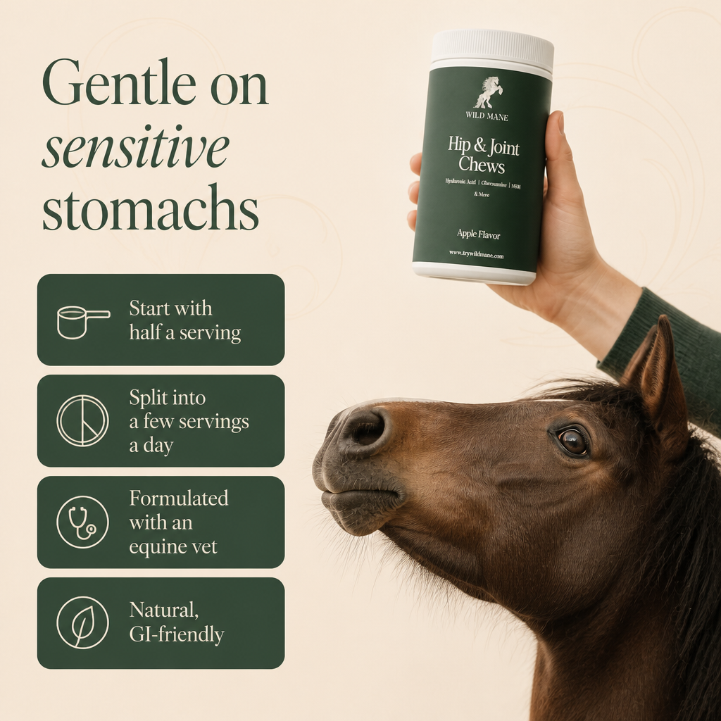 Hip & Joint Chews
